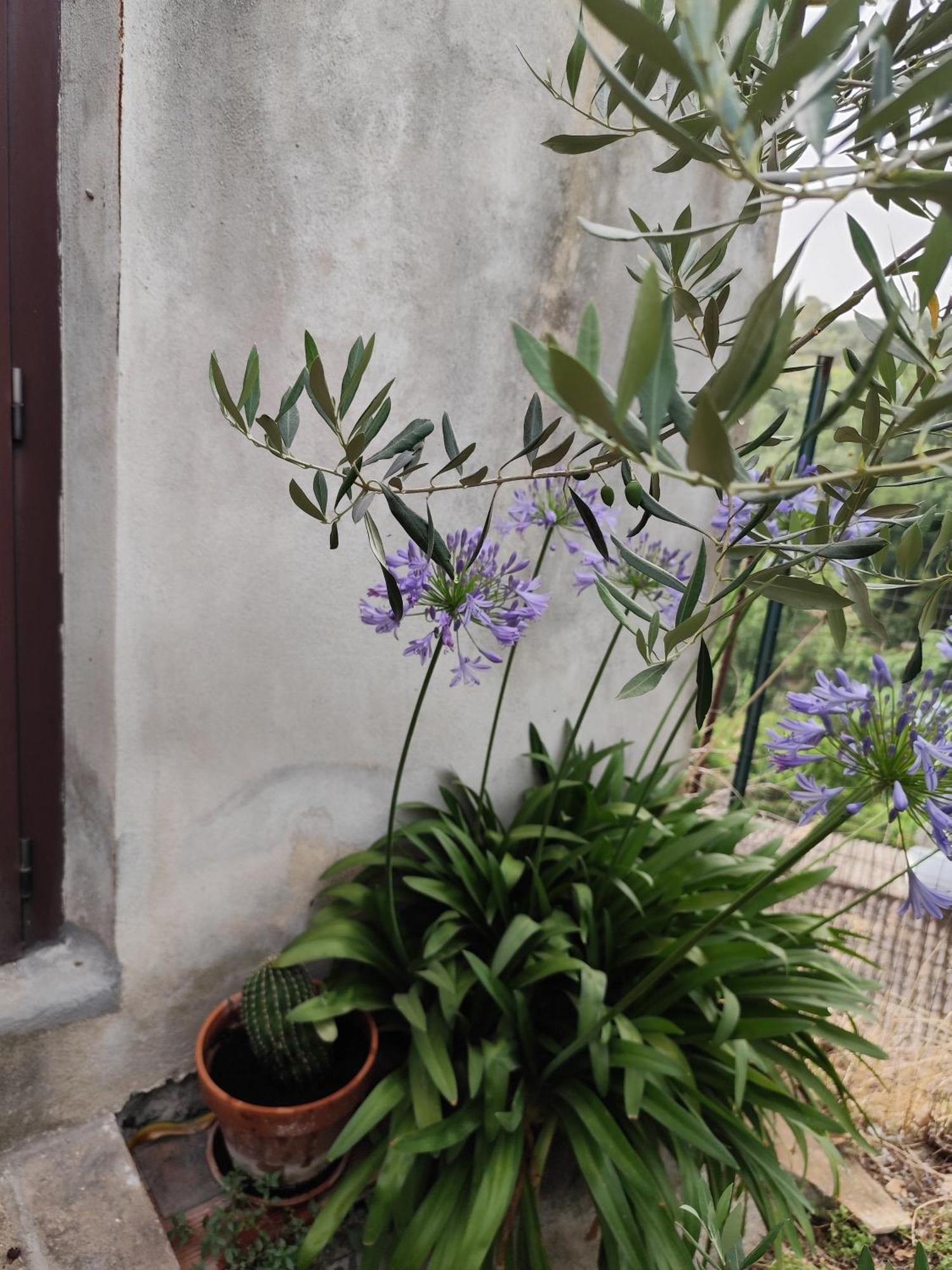 Casa In Antico Borgo Medievale A Tarano Ri, Via Giacomo Leopardi, 15 빌라 외부 사진